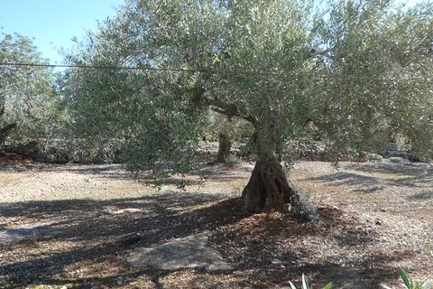 Landejendom i L'Ampolla, Tarragona, L'Ampolla - € 295.000 | Ref: Amp5069joe - foto 45