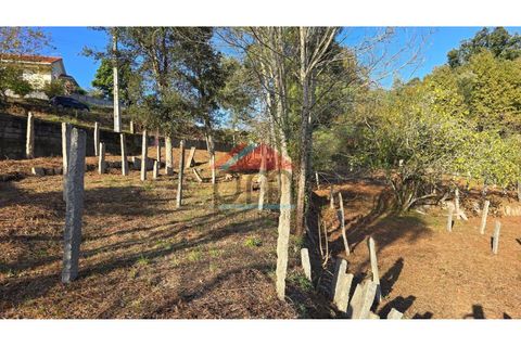 Villa i Troporiz e Lapela, Viana do Castelo, Troporiz e Lapela - € 117.000 | Ref: NEM493 - foto 14