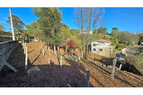 Villa i Troporiz e Lapela, Viana do Castelo, Troporiz e Lapela - € 117.000 | Ref: NEM493 - foto 15