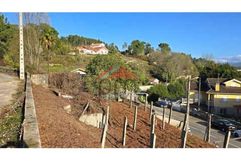 Villa i Troporiz e Lapela, Viana do Castelo, Troporiz e Lapela - € 117.000 | Ref: NEM493 - foto 17