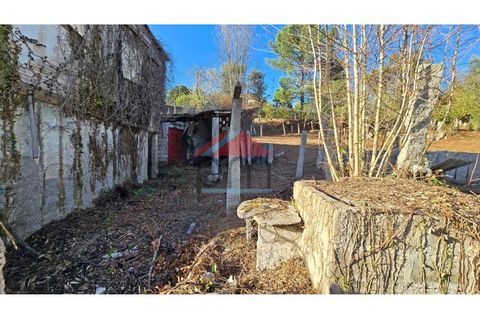 Villa i Troporiz e Lapela, Viana do Castelo, Troporiz e Lapela - € 117.000 | Ref: NEM493 - foto 20
