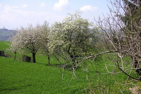 Villa a Murazzano, Cuneo, Murazzano - € 75.000 | Ref: D038.08 - foto 15