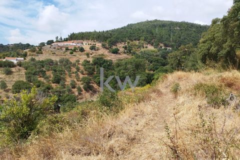 Villa i Monchique, Faro, Monchique - € 325.000 | Ref: KWPT-006011 - foto 36