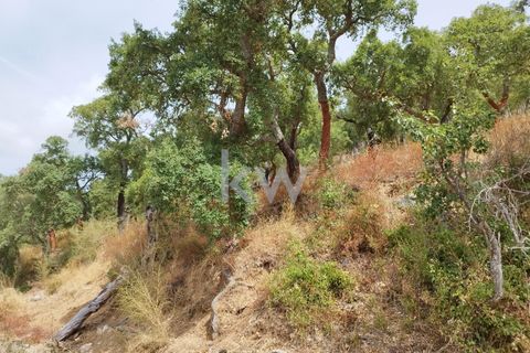 Villa i Monchique, Faro, Monchique - € 325.000 | Ref: KWPT-006011 - foto 37