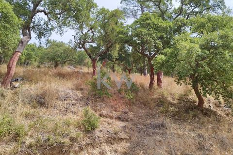 Villa i Monchique, Faro, Monchique - € 325.000 | Ref: KWPT-006011 - foto 39