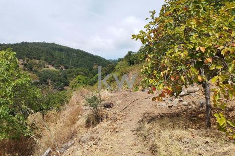 Villa i Monchique, Faro, Monchique - € 325.000 | Ref: KWPT-006011 - foto 41