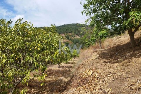Villa i Monchique, Faro, Monchique - € 325.000 | Ref: KWPT-006011 - foto 42