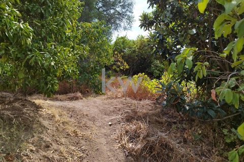Villa i Monchique, Faro, Monchique - € 325.000 | Ref: KWPT-006011 - foto 43