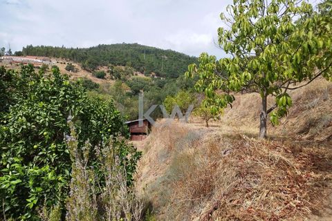Villa i Monchique, Faro, Monchique - € 325.000 | Ref: KWPT-006011 - foto 44