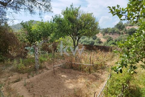 Villa i Monchique, Faro, Monchique - € 325.000 | Ref: KWPT-006011 - foto 45