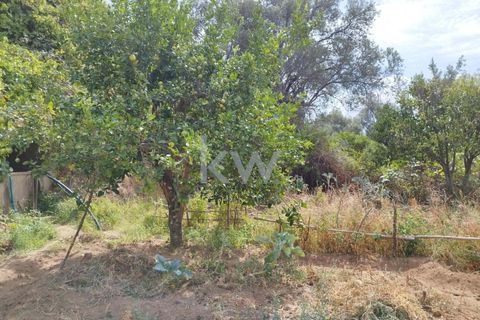 Villa i Monchique, Faro, Monchique - € 325.000 | Ref: KWPT-006011 - foto 46