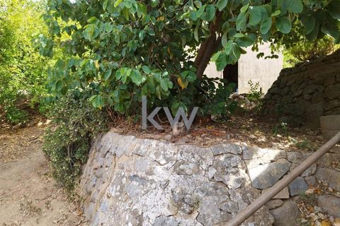 Villa i Monchique, Faro, Monchique - € 325.000 | Ref: KWPT-006011 - foto 47