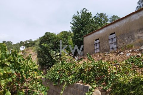 Villa i Monchique, Faro, Monchique - € 325.000 | Ref: KWPT-006011 - foto 48