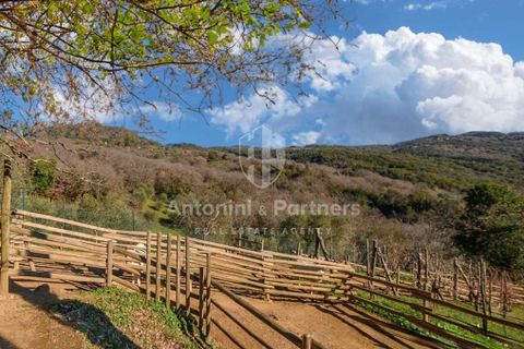 Villa i Citta della Pieve, Perugia, Citta della Pieve - € 1.100.000 | Ref: 62305-1 - foto 7