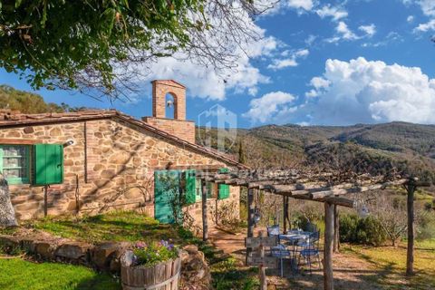 Villa i Citta della Pieve, Perugia, Citta della Pieve - € 1.100.000 | Ref: 62305-1 - foto 8