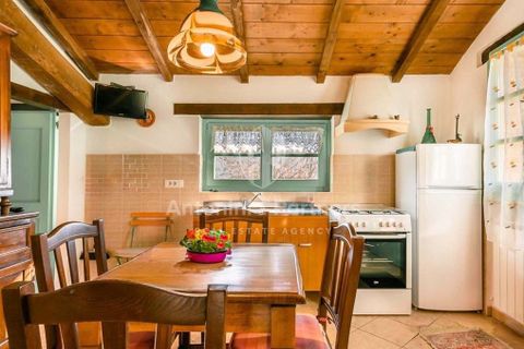 Villa i Citta della Pieve, Perugia, Citta della Pieve - € 1.100.000 | Ref: 62305-1 - foto 11