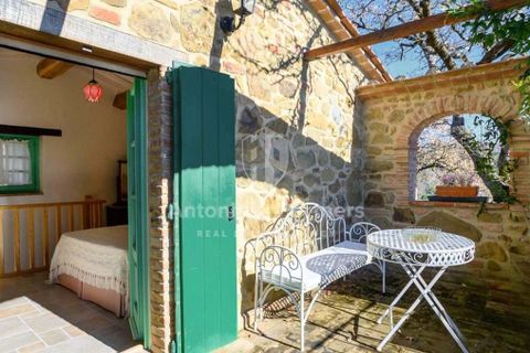 Villa i Citta della Pieve, Perugia, Citta della Pieve - € 1.100.000 | Ref: 62305-1 - foto 16