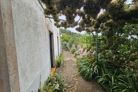 Byhus i Santana, Madeira, Santana - € 225.000 | Ref: KWPT-006173 - foto 6