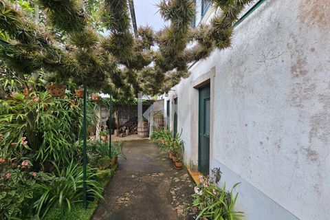Byhus i Santana, Madeira, Santana - € 225.000 | Ref: KWPT-006173 - foto 12