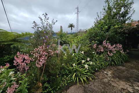 Byhus i Santana, Madeira, Santana - € 225.000 | Ref: KWPT-006173 - foto 14