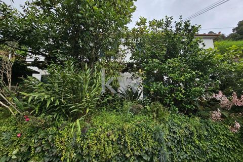Byhus i Santana, Madeira, Santana - € 225.000 | Ref: KWPT-006173 - foto 16