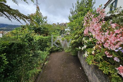Byhus i Santana, Madeira, Santana - € 225.000 | Ref: KWPT-006173 - foto 17