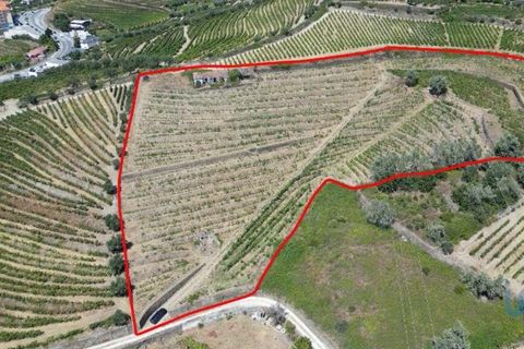 Byhus i Peso da Regua, Vila Real, Peso da Regua - € 445.000 | Ref: 101962 - foto 2