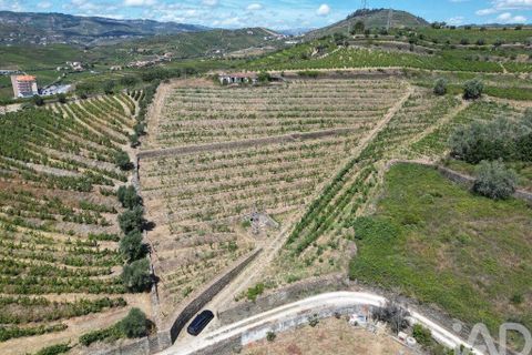Byhus i Peso da Regua, Vila Real, Peso da Regua - € 445.000 | Ref: 101962 - foto 1