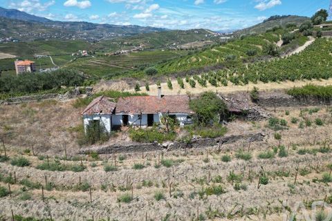 Byhus i Peso da Regua, Vila Real, Peso da Regua - € 445.000 | Ref: 101962 - foto 3