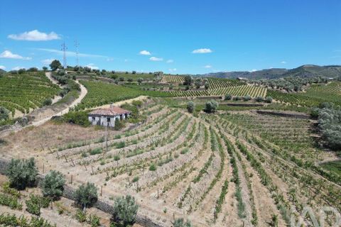 Byhus i Peso da Regua, Vila Real, Peso da Regua - € 445.000 | Ref: 101962 - foto 6