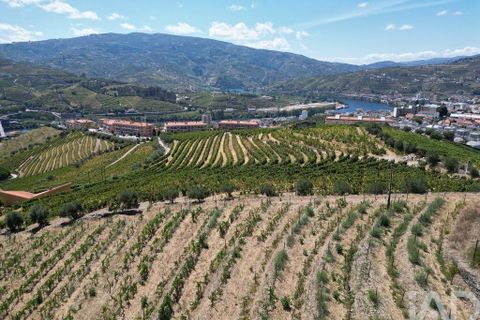 Byhus i Peso da Regua, Vila Real, Peso da Regua - € 445.000 | Ref: 101962 - foto 7