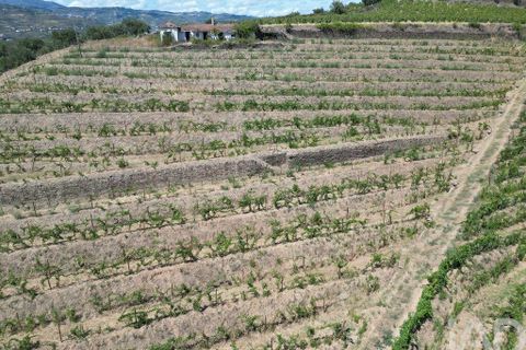 Byhus i Peso da Regua, Vila Real, Peso da Regua - € 445.000 | Ref: 101962 - foto 9
