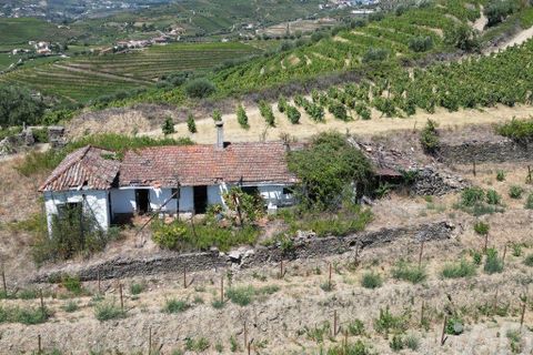Byhus i Peso da Regua, Vila Real, Peso da Regua - € 445.000 | Ref: 101962 - foto 23