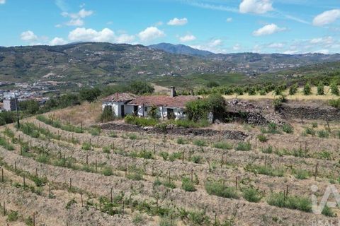 Byhus i Peso da Regua, Vila Real, Peso da Regua - € 445.000 | Ref: 101962 - foto 24