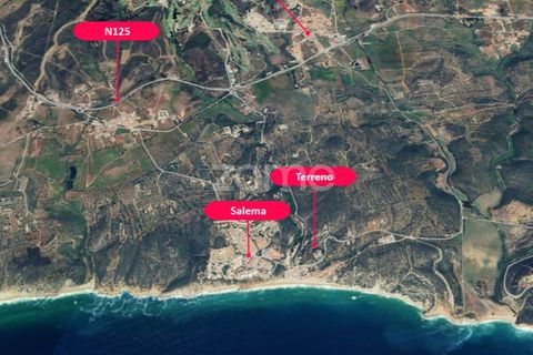 Helårsgrund i Budens, Faro, Budens - € 1.540.000 | Ref: ZMPT569942 - foto 6