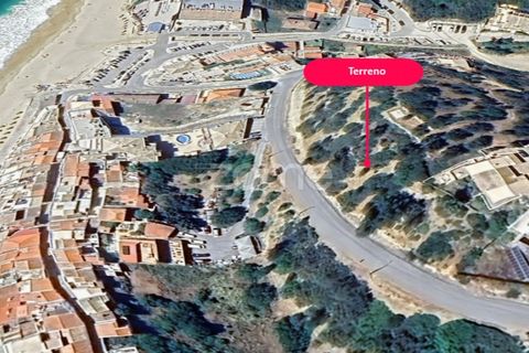 Helårsgrund i Budens, Faro, Budens - € 1.540.000 | Ref: ZMPT569942 - foto 9