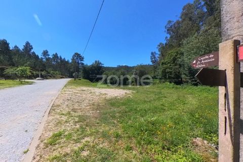 Helårsgrund i Braga, Braga, Braga - € 29.900 | Ref: ZMPT559662 - foto 16