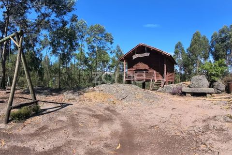 Helårsgrund i Braga, Braga, Braga - € 29.900 | Ref: ZMPT559662 - foto 7