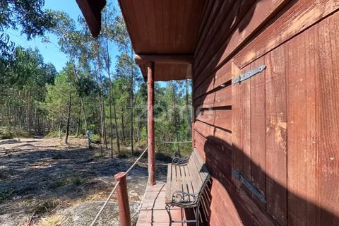 Helårsgrund i Braga, Braga, Braga - € 29.900 | Ref: ZMPT559662 - foto 10
