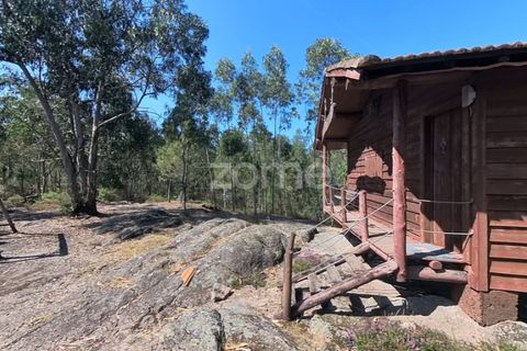 Helårsgrund i Braga, Braga, Braga - € 29.900 | Ref: ZMPT559662 - foto 11