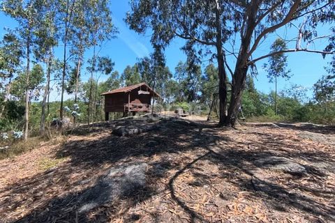 Helårsgrund i Braga, Braga, Braga - € 29.900 | Ref: ZMPT559662 - foto 12