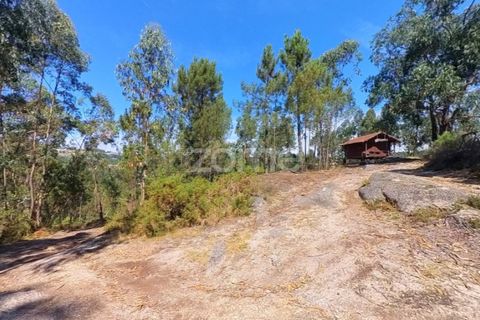 Helårsgrund i Braga, Braga, Braga - € 29.900 | Ref: ZMPT559662 - foto 13