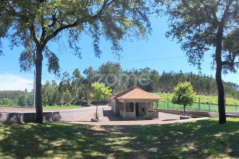 Helårsgrund i Braga, Braga, Braga - € 29.900 | Ref: ZMPT559662 - foto 15
