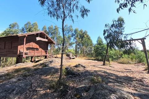 Helårsgrund i Braga, Braga, Braga - € 29.900 | Ref: ZMPT559662 - foto 8