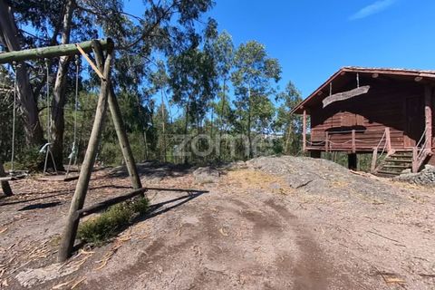 Terreno en Braga, Braga, Braga - € 29.900 | Ref: ZMPT559662 - photo 8