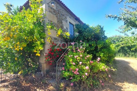 Villa i Armamar, Viseu, Armamar - € 300.000 | Ref: ZMPT569051 - foto 3
