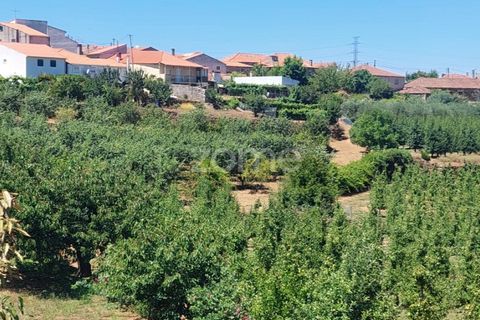 Villa i Armamar, Viseu, Armamar - € 300.000 | Ref: ZMPT569051 - foto 9