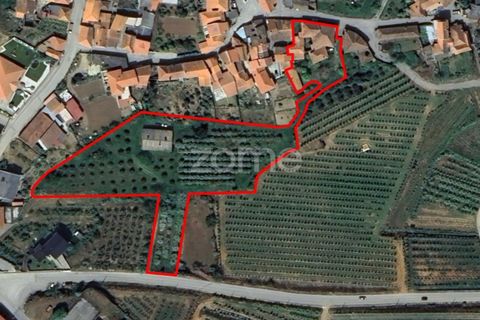 Villa i Armamar, Viseu, Armamar - € 300.000 | Ref: ZMPT569051 - foto 41