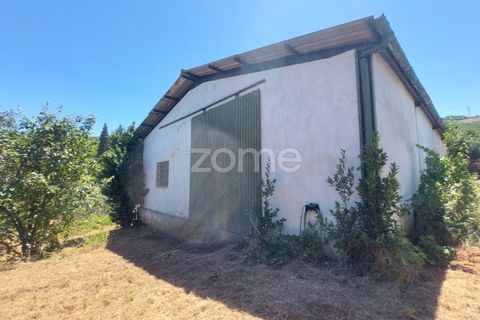 Villa i Armamar, Viseu, Armamar - € 300.000 | Ref: ZMPT569051 - foto 11