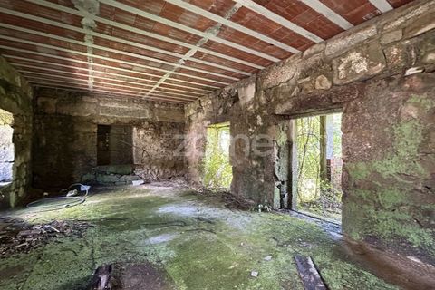 Villa i Gamil e Midoes, Braga, Gamil e Midoes - € 295.000 | Ref: ZMPT566941 - foto 19